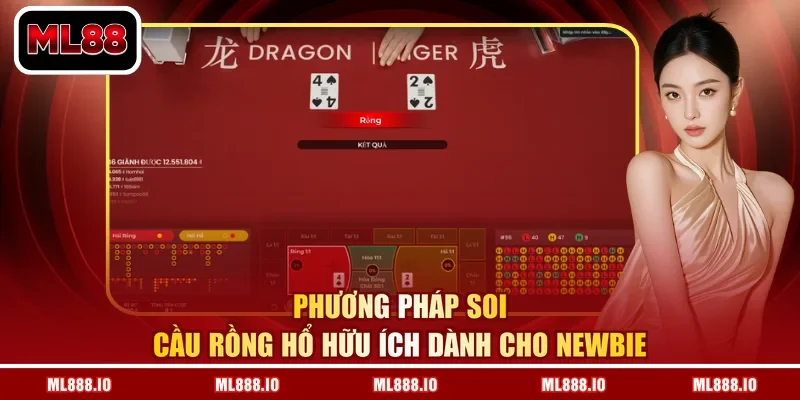 Phương pháp soi cầu rồng hổ hữu ích dành cho newbie