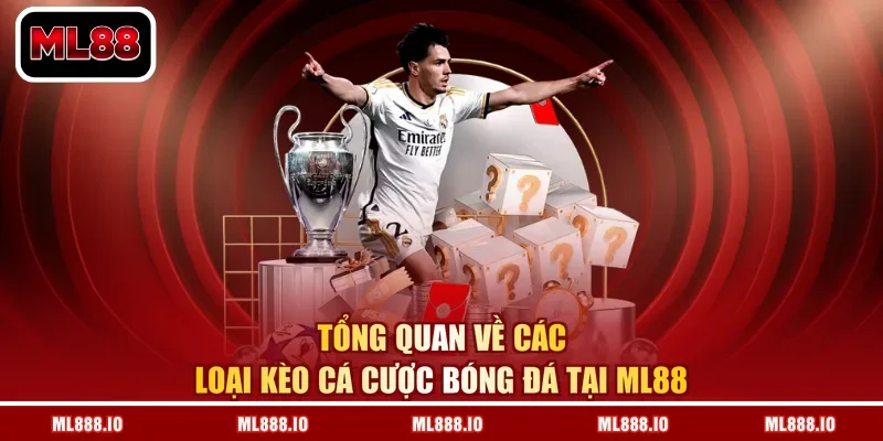Tổng quan về các loại kèo cá cược bóng đá tại ML88